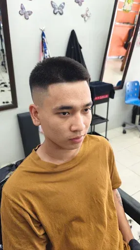 Short crop with a skin fade